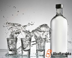 Купить спирт на разлив в Лозовой